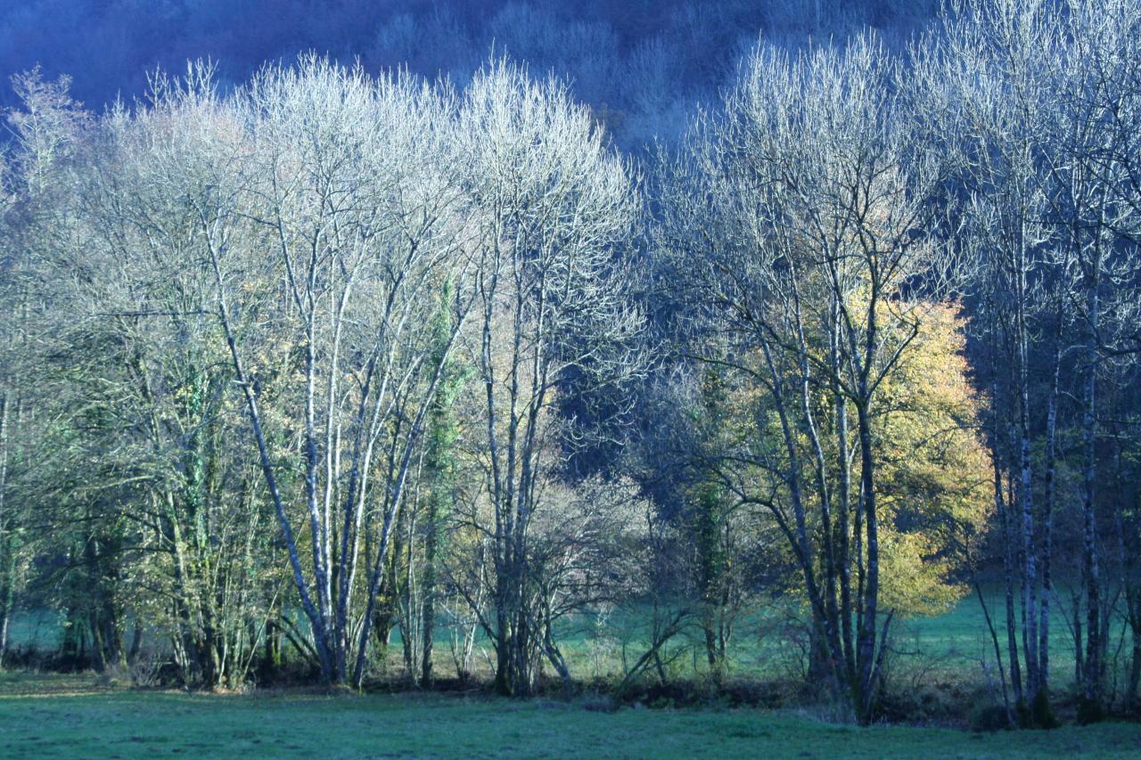 Matin bleu vers Charquemont (25)