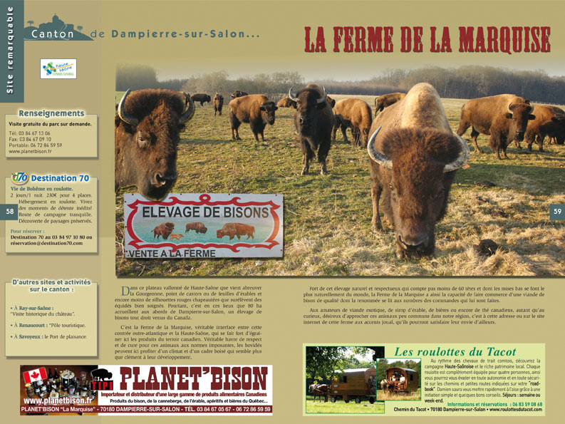 Elevage de Bisons (70)