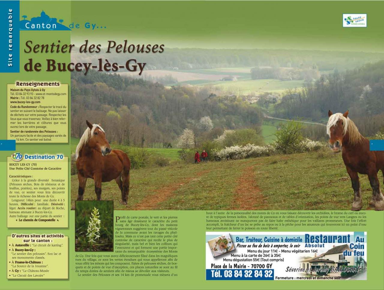 Pelouses sèches des Monts de Gy (70)