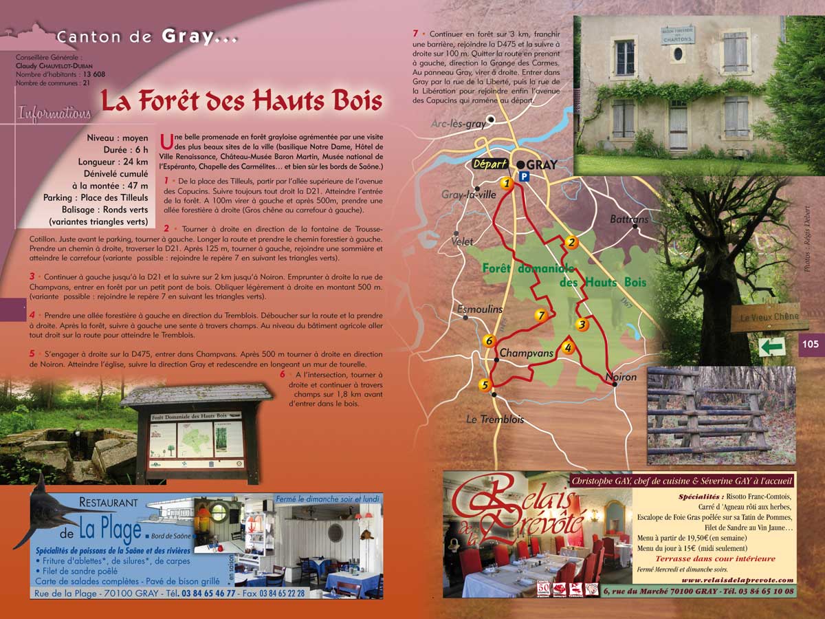 Randonnée dans les bois de Gray (70)