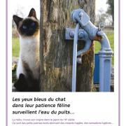 Le Chat au Puits