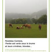 Paisibles Comtois