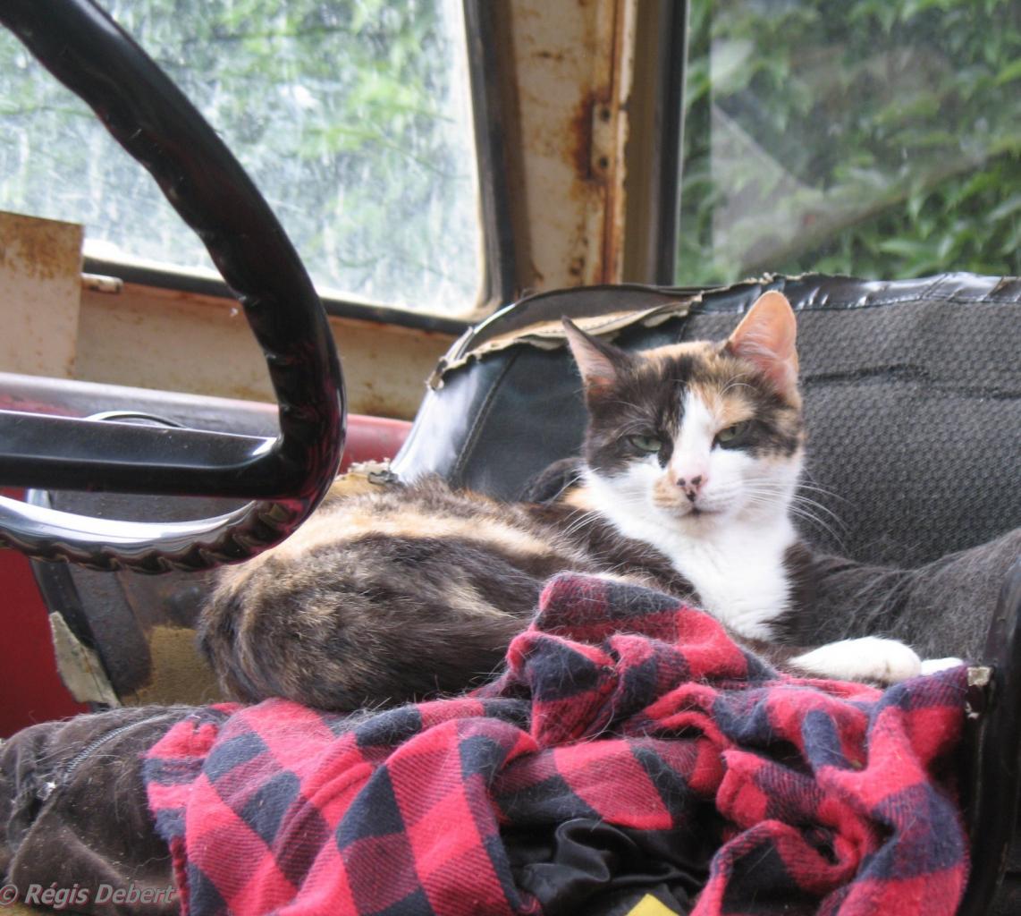 C'est mon tracteur !