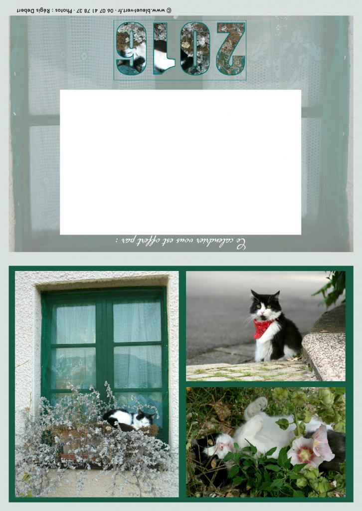 Les chats (série verte)