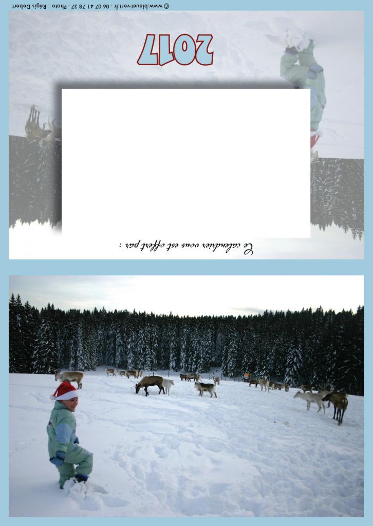 Danse avec les rennes