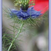 Recto calendrier marque-pages - ref.17-01