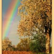 Recto calendrier marque-pages - ref.17-02