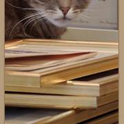 Recto calendrier marque-pages - ref.17-06