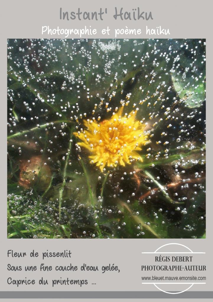 Caprice du printemps