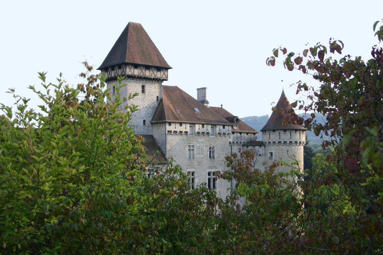 Chateau de Cléron (25)