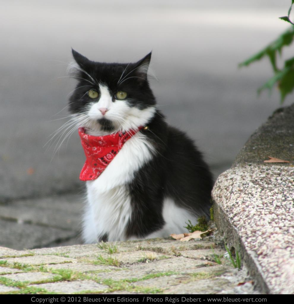 Un petit air aventurier !