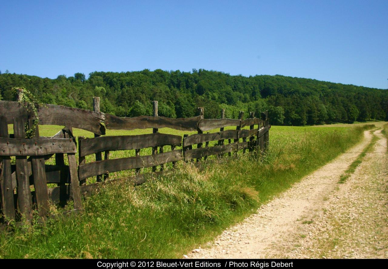 Chemin vers les Monts de Gy