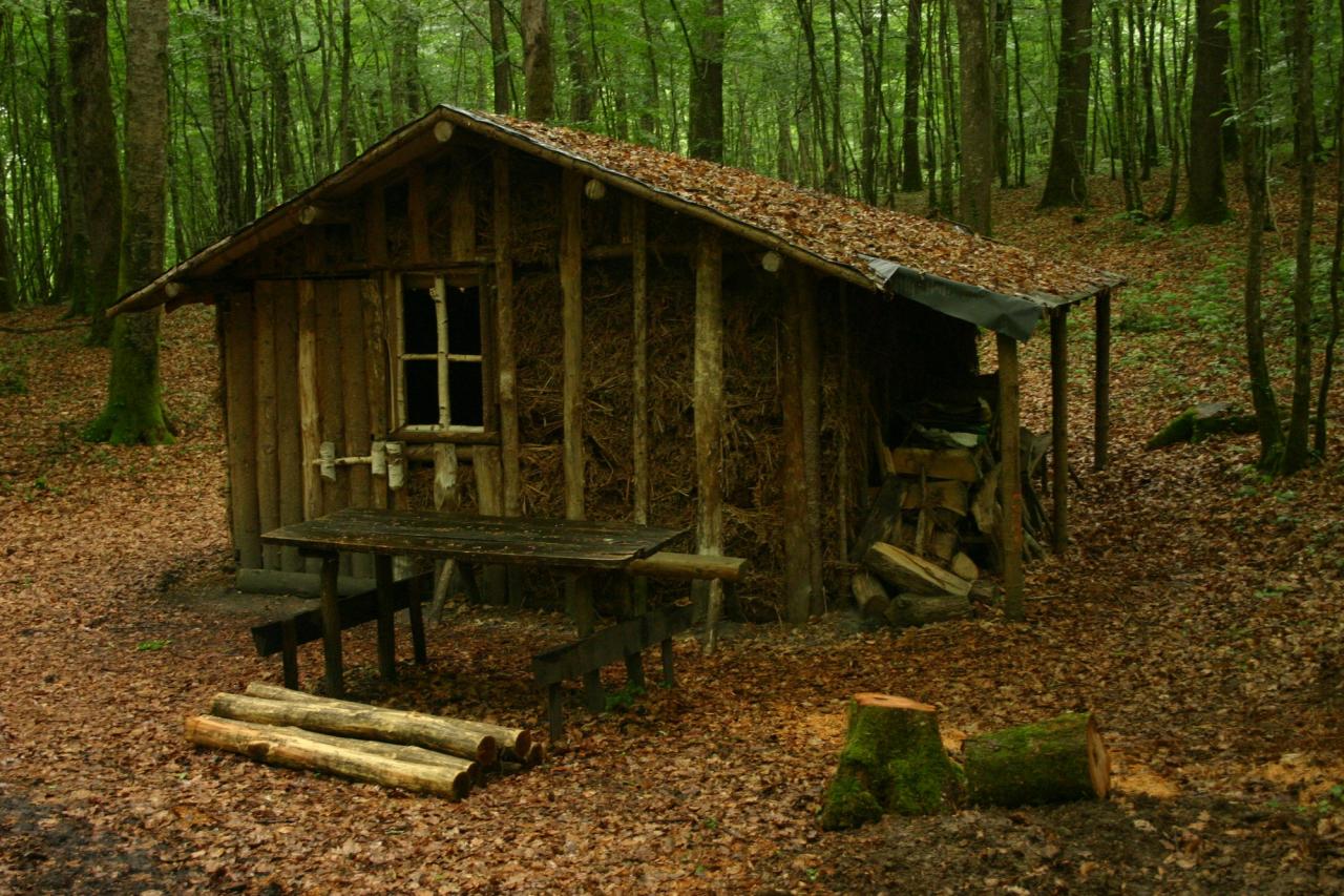La Baraque du charbonier