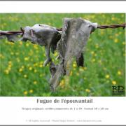 Fugue de l'épouvantail