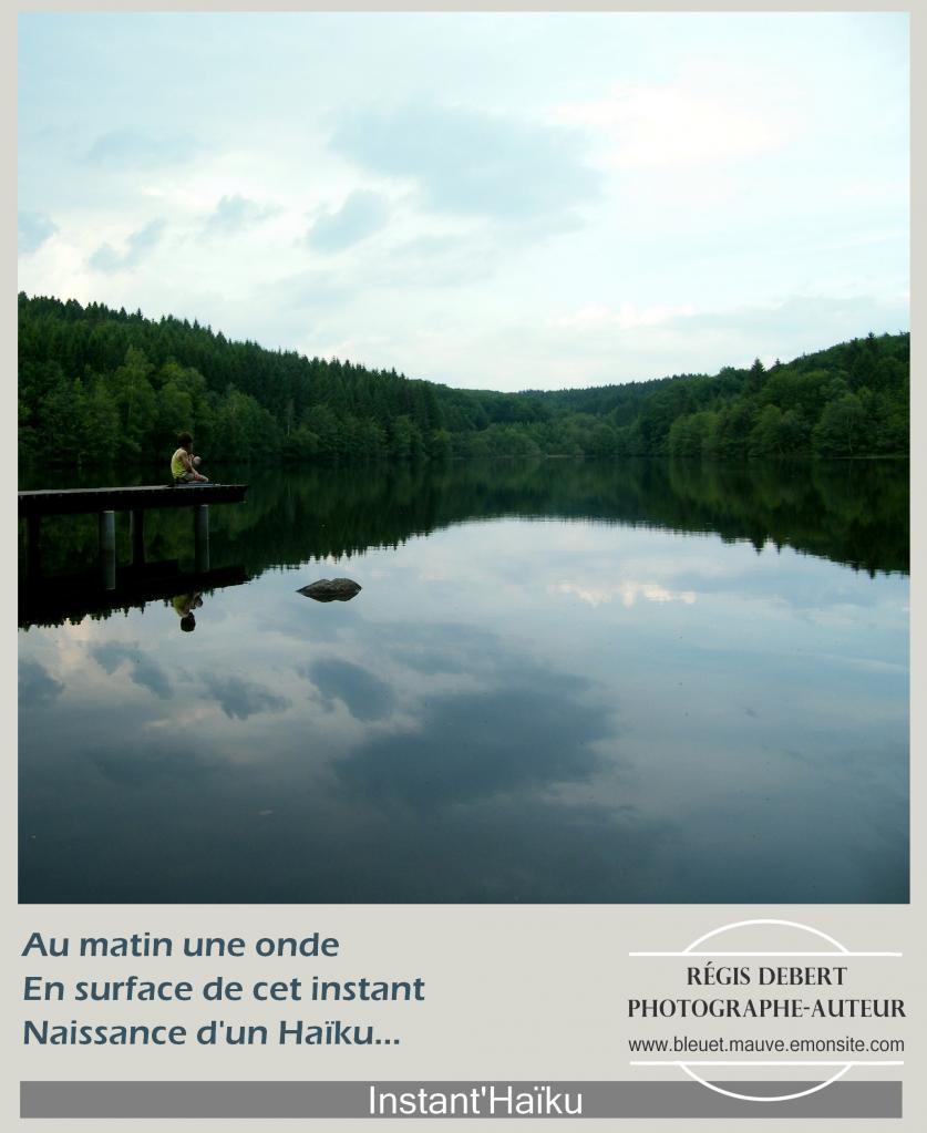 Naissance d'un Haïku