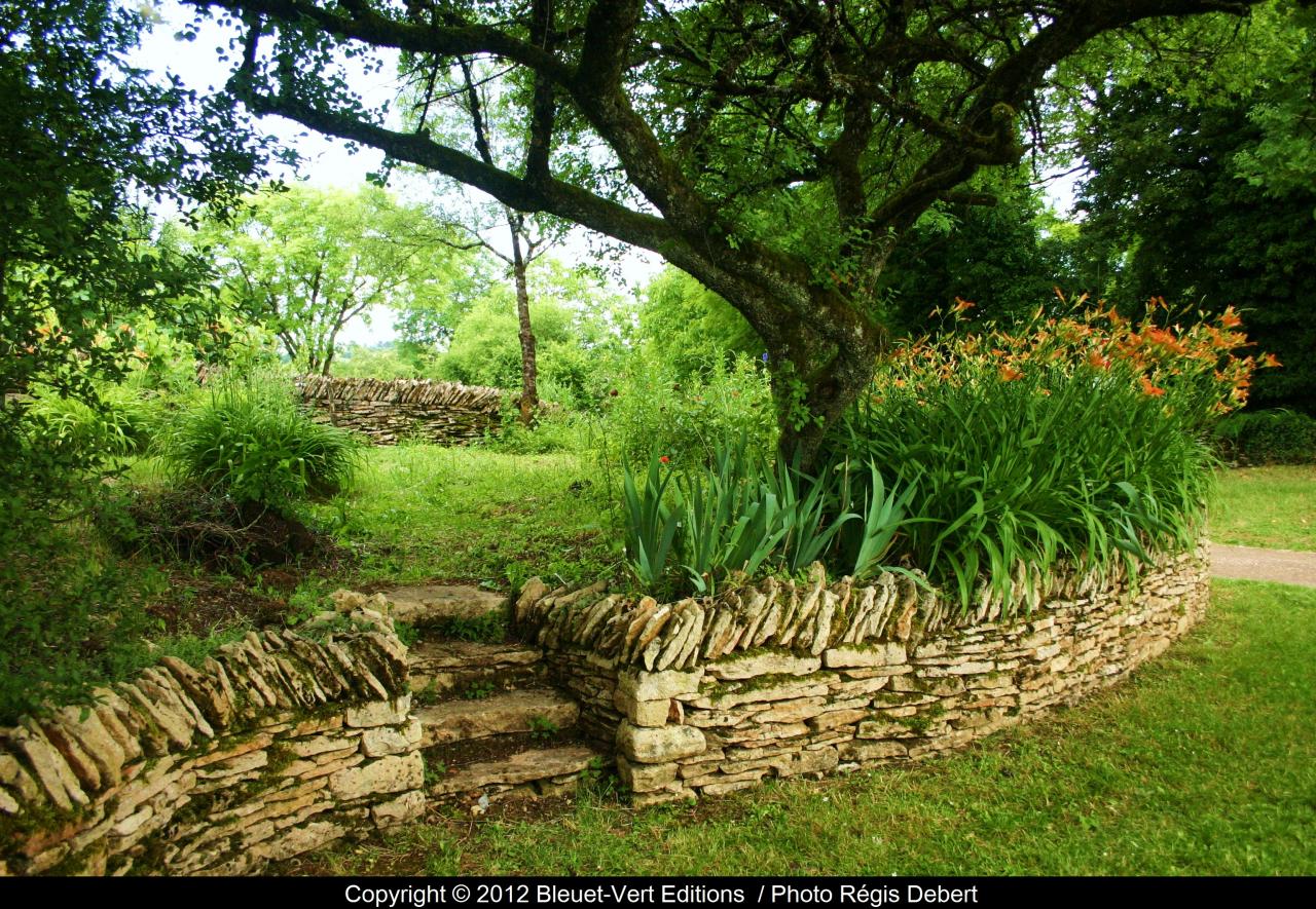 Jardin dans la vigne