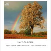 L'Arc-en-Arbre