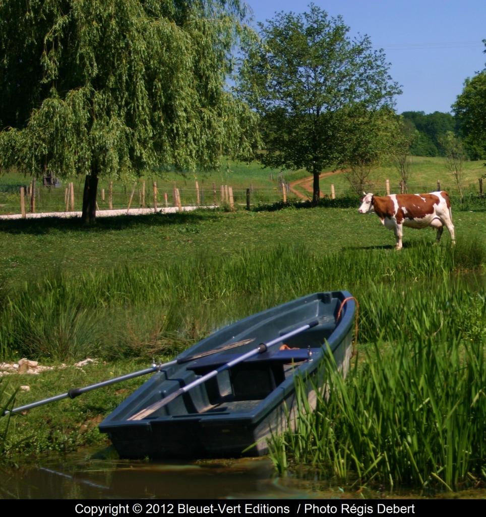 La Marguerite près de l'étang