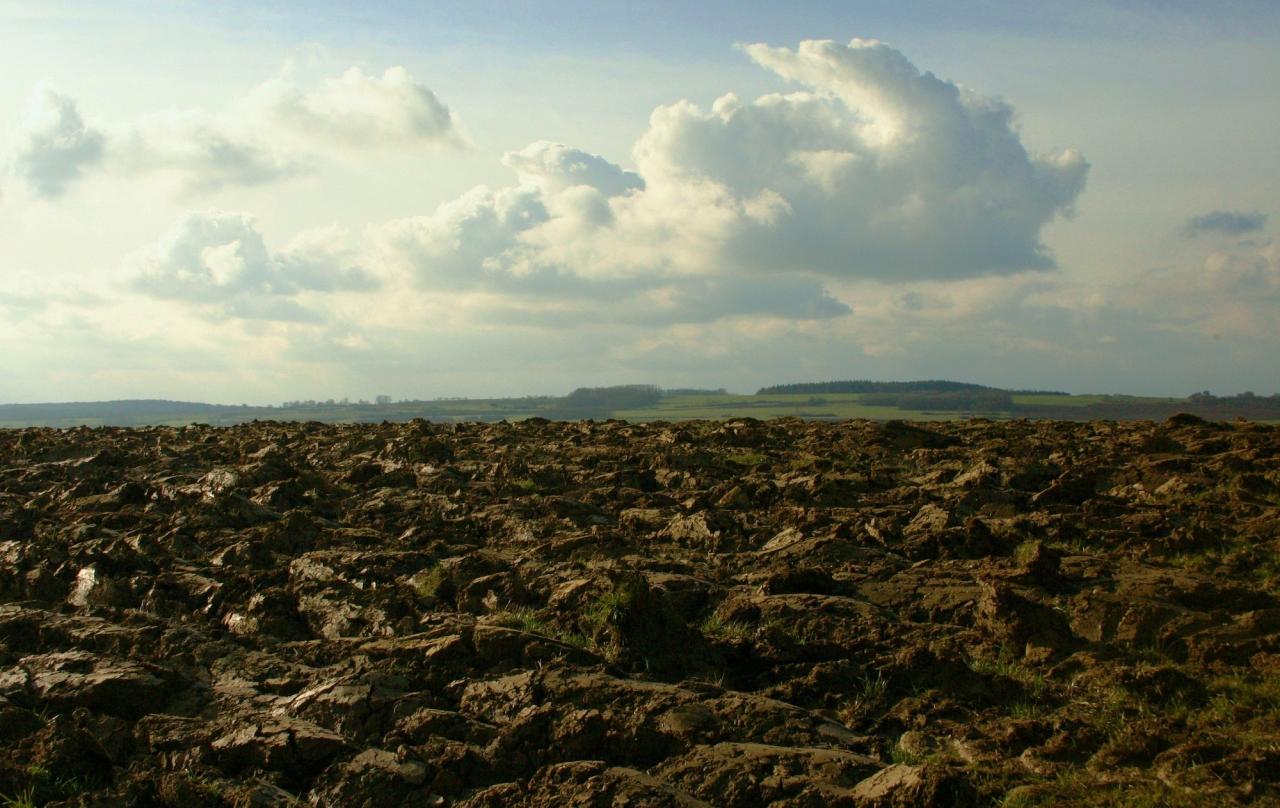 Labours près de Marnay 