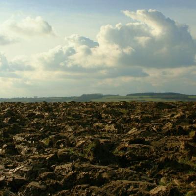 Labours près de Marnay 