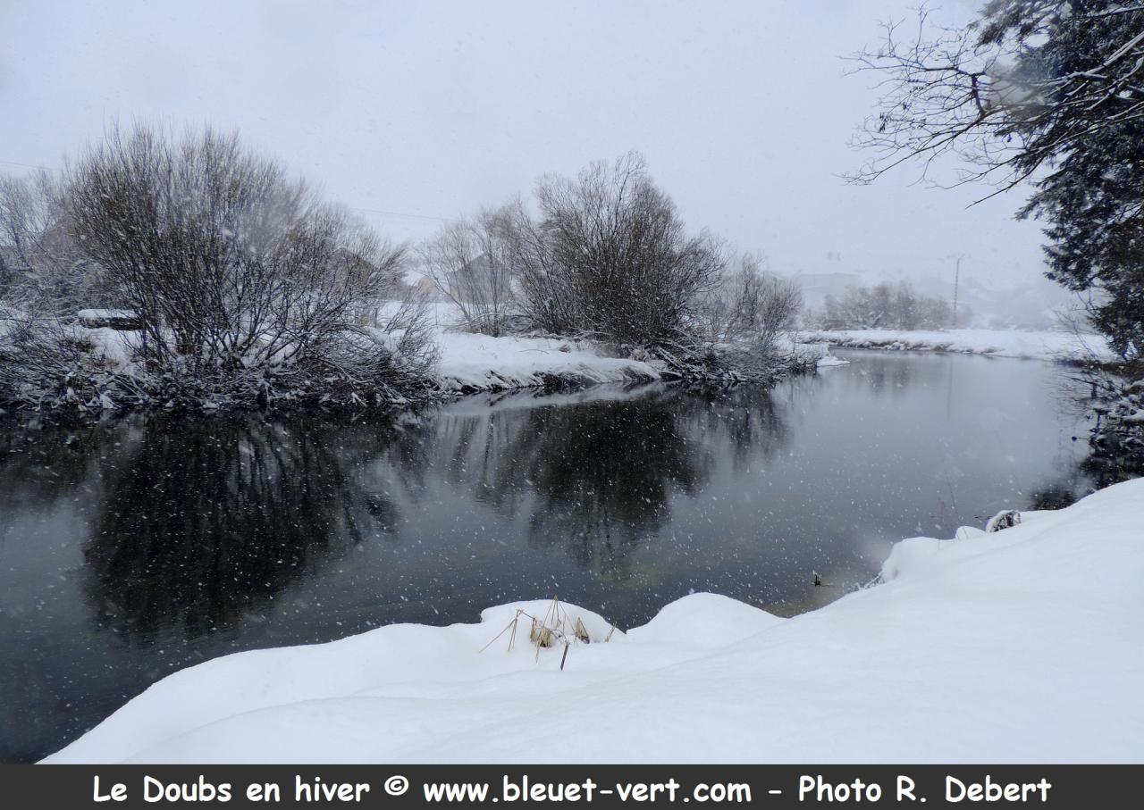 Le Doubs en hiver à Rochejean (Doubs)