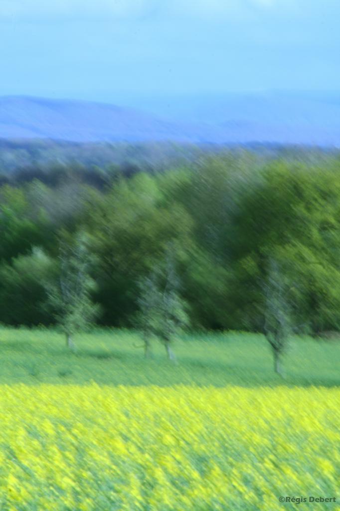 Le Jura à l'horizon