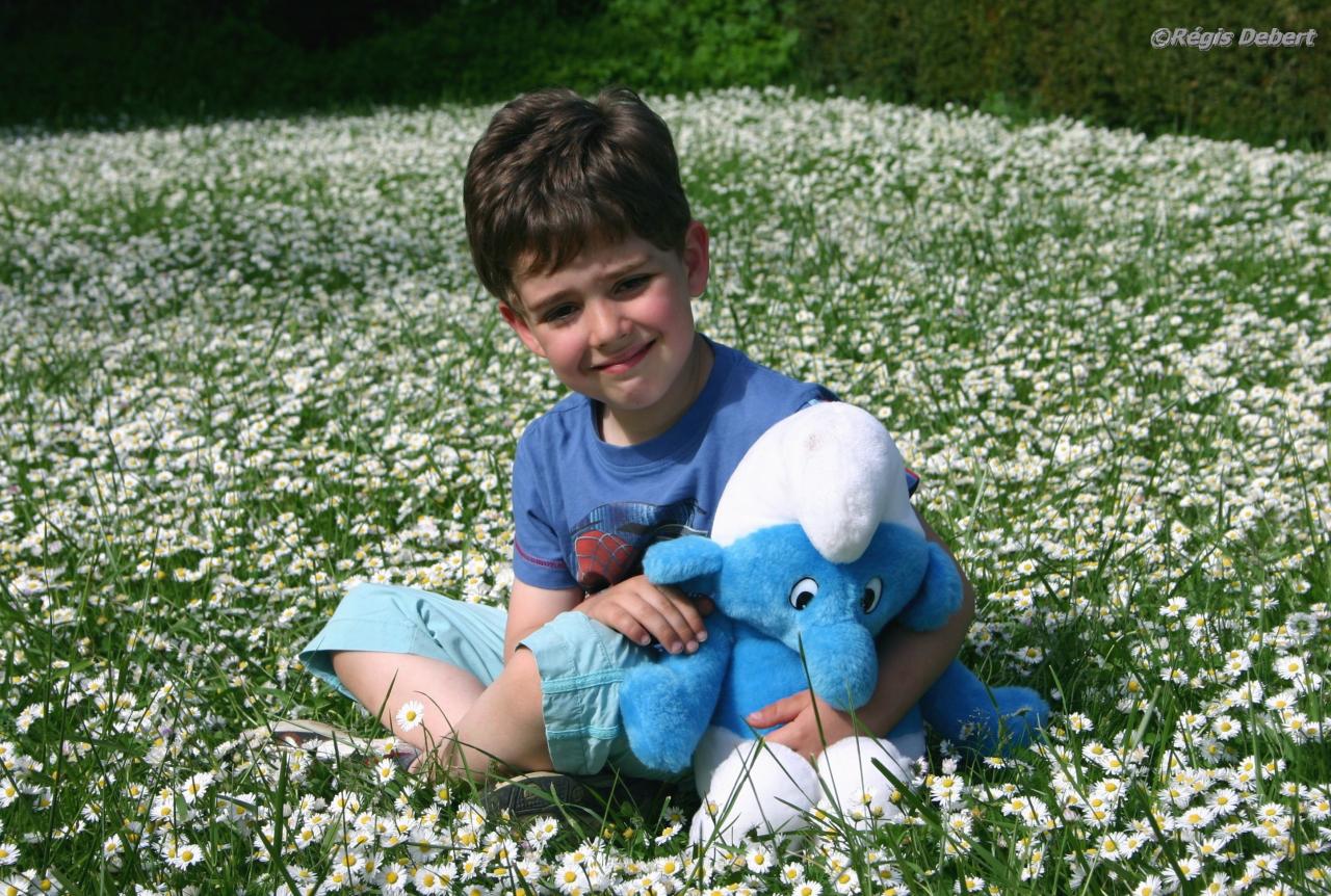 Le Schtroumpf est dans le prés