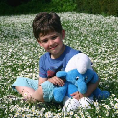 Le Schtroumpf est dans le prés