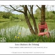 Les chaises de l'étang