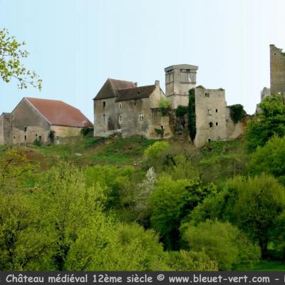 Château féodal d'Oricourt (12ème siècle)