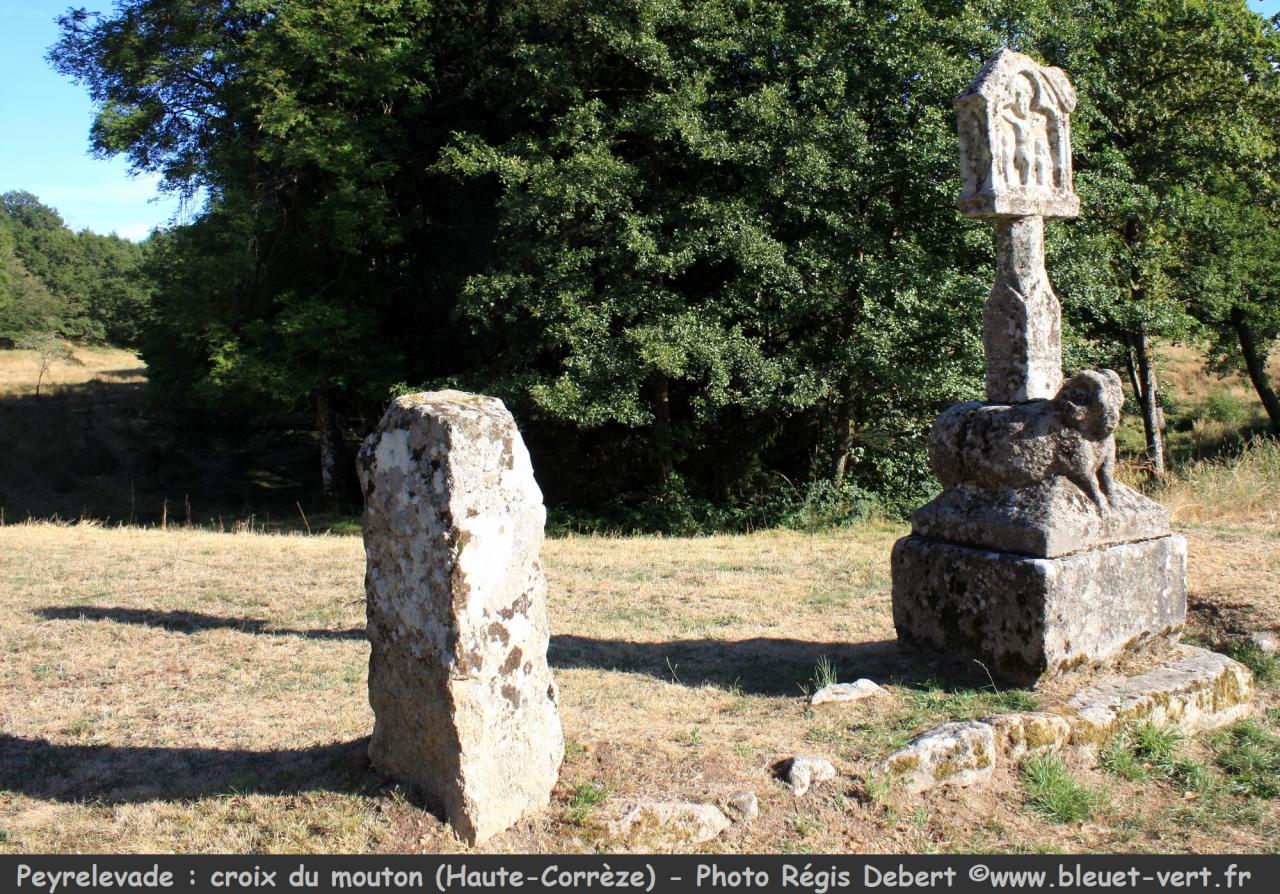 Croix du mouton (templiers) à Peyrelevade (Corrèze