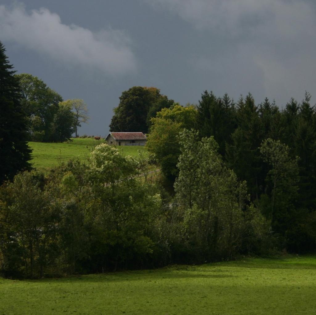Ciel de plomb et nuances de verts