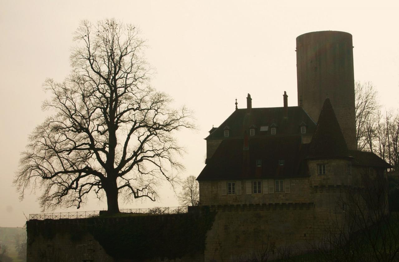Château de Rupt-sur-Saône (70)