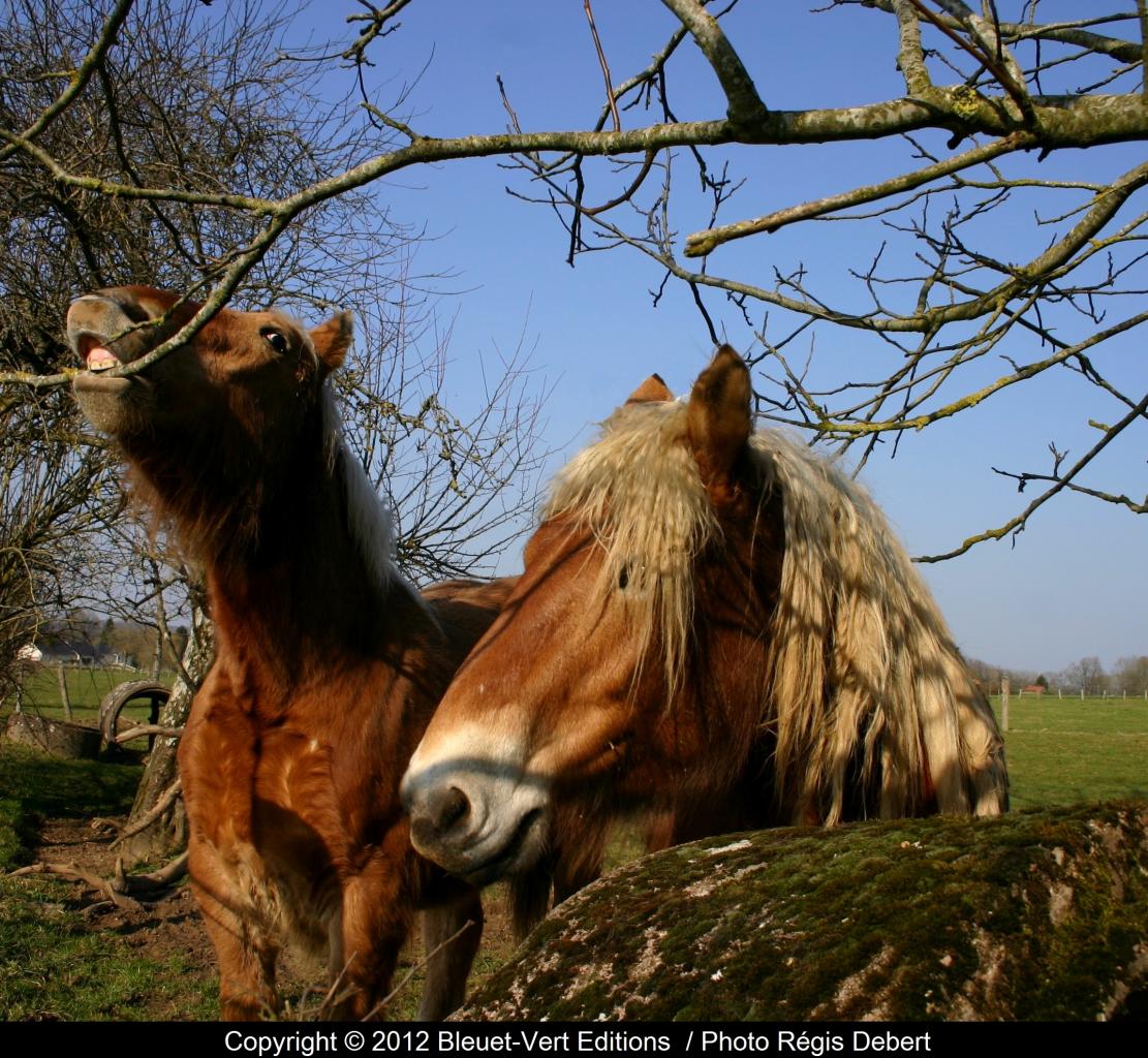 Sans mors ça  mord mieux