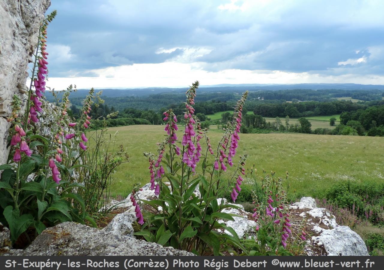 Site de Roches à St-Exupéry-les-Roches