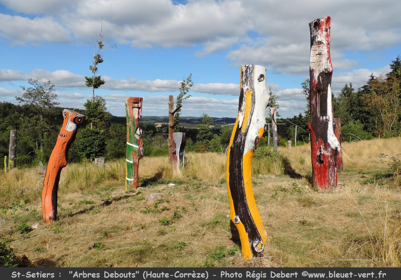 Les arbres debouts à St-Setiers (Corrèze)