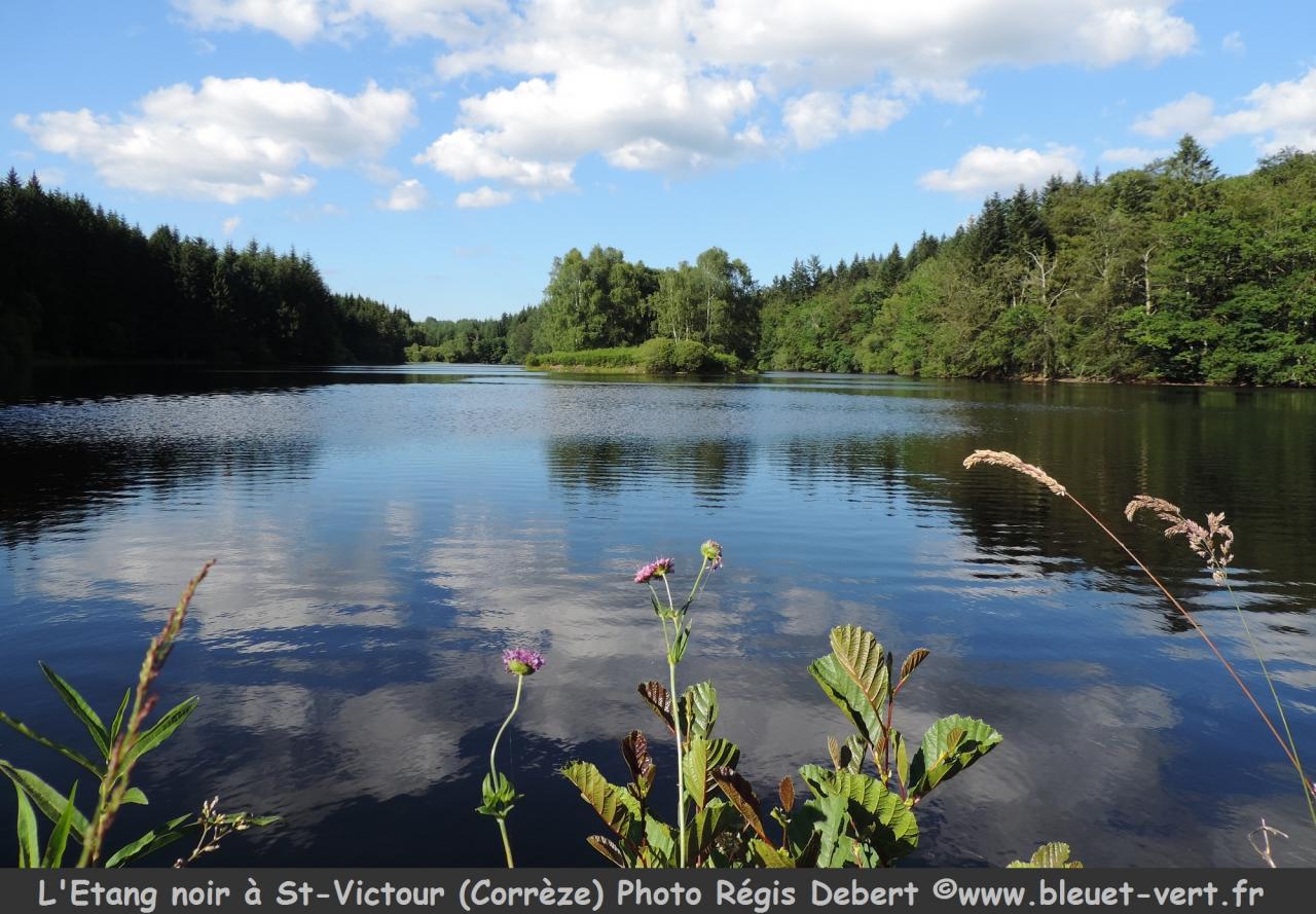 St-Victour : l'Etang Noir