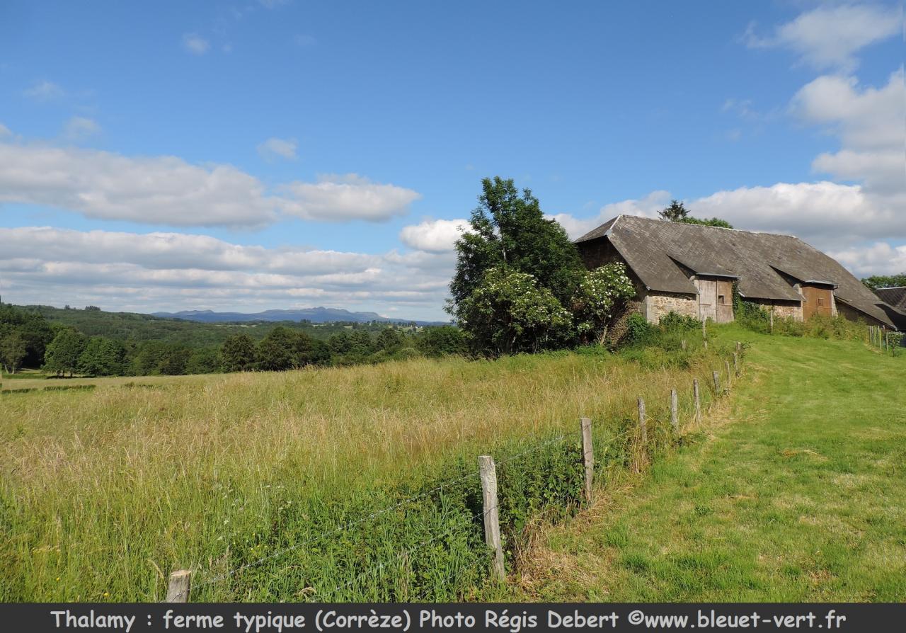 Ferme typique et vue sur les monts du Puy de Dôme à Thalamy