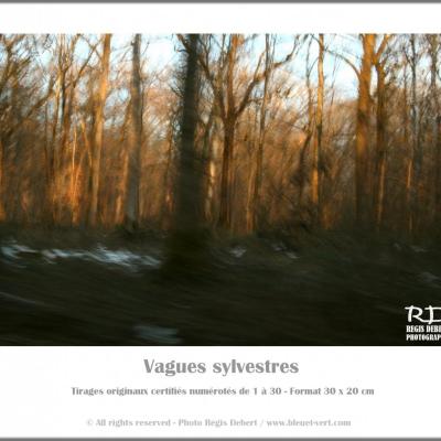 Catalogues de photos d'art (extrait)