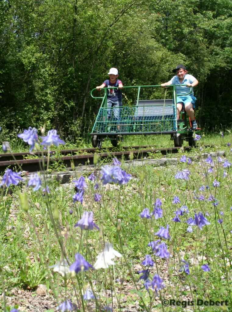 Vélo-Rail le long des ancolies
