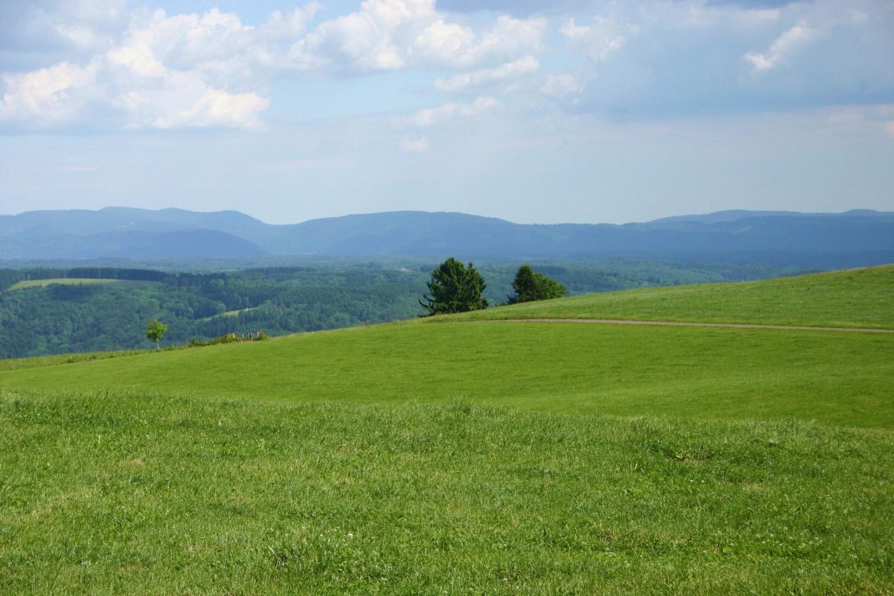 Vers St-Bresson (70)