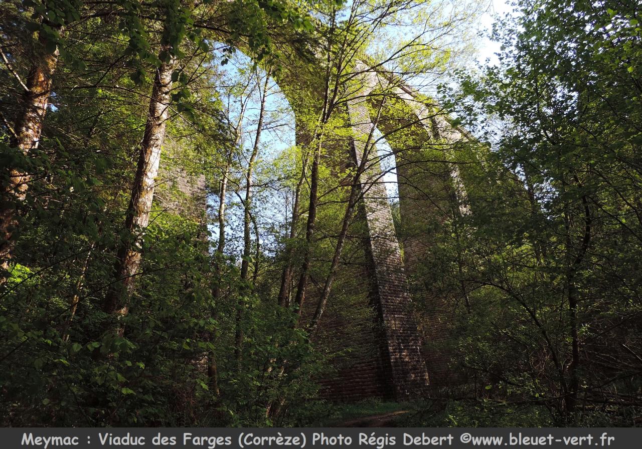 Viaduc et Douglaserie des Farges à Meymac