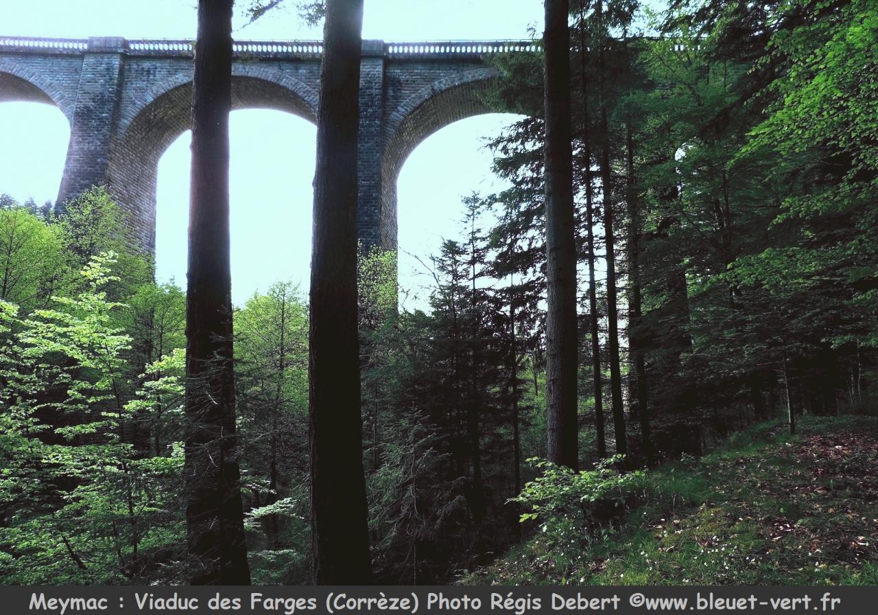Viaduc et douglaserie des Farges à Meymac
