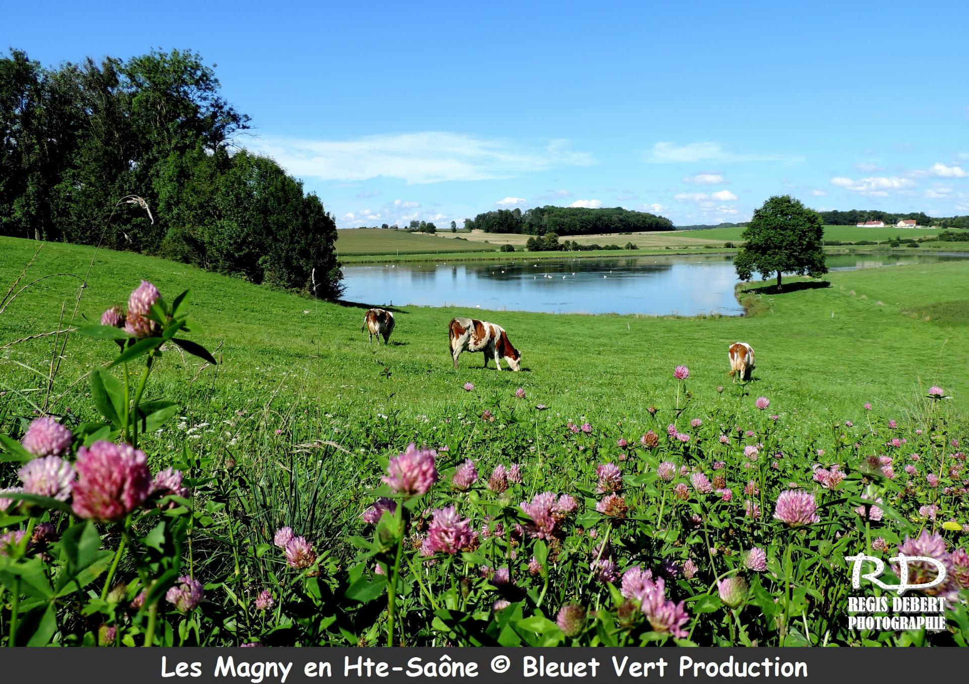 Les Magny (Haute-Saône)