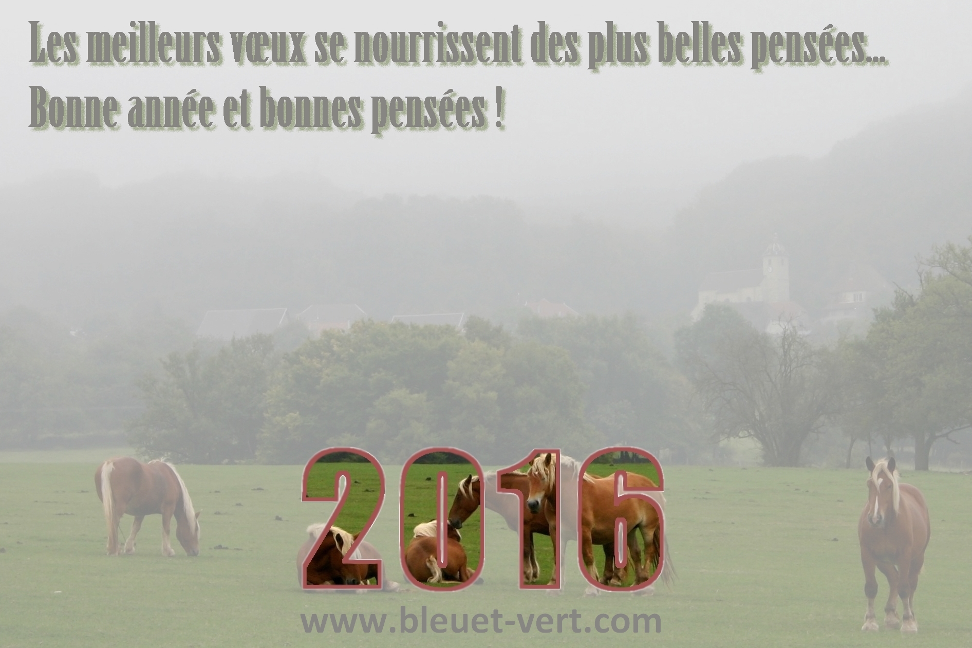 Voeux 2016 2